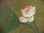 sku #YuanLotus