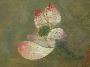 sku #YuanLotus
